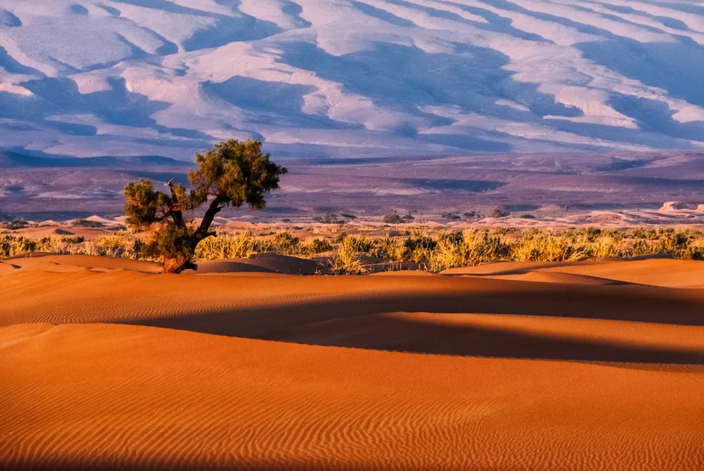 Global Travelers Morocco Package
